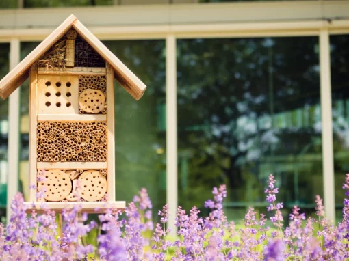 Insektenhotel: Ein Zuhause für Nützlinge im eigenen Garten