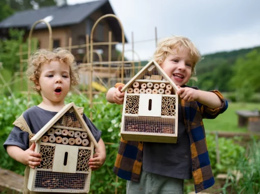 Der ideale Standort für ein Insektenhotel