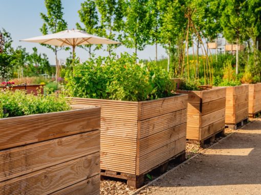 Hochbeet im Garten: Ein Leitfaden für Anfänger