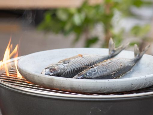 Grillschale: Perfekte Grillabende mit dem richtigen Zubehör