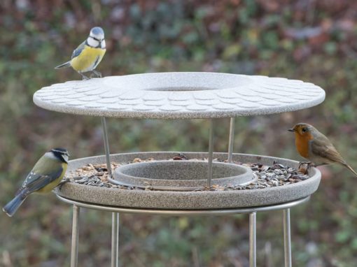 Welche Vögel besuchen Ihr Vogelfutterhaus?