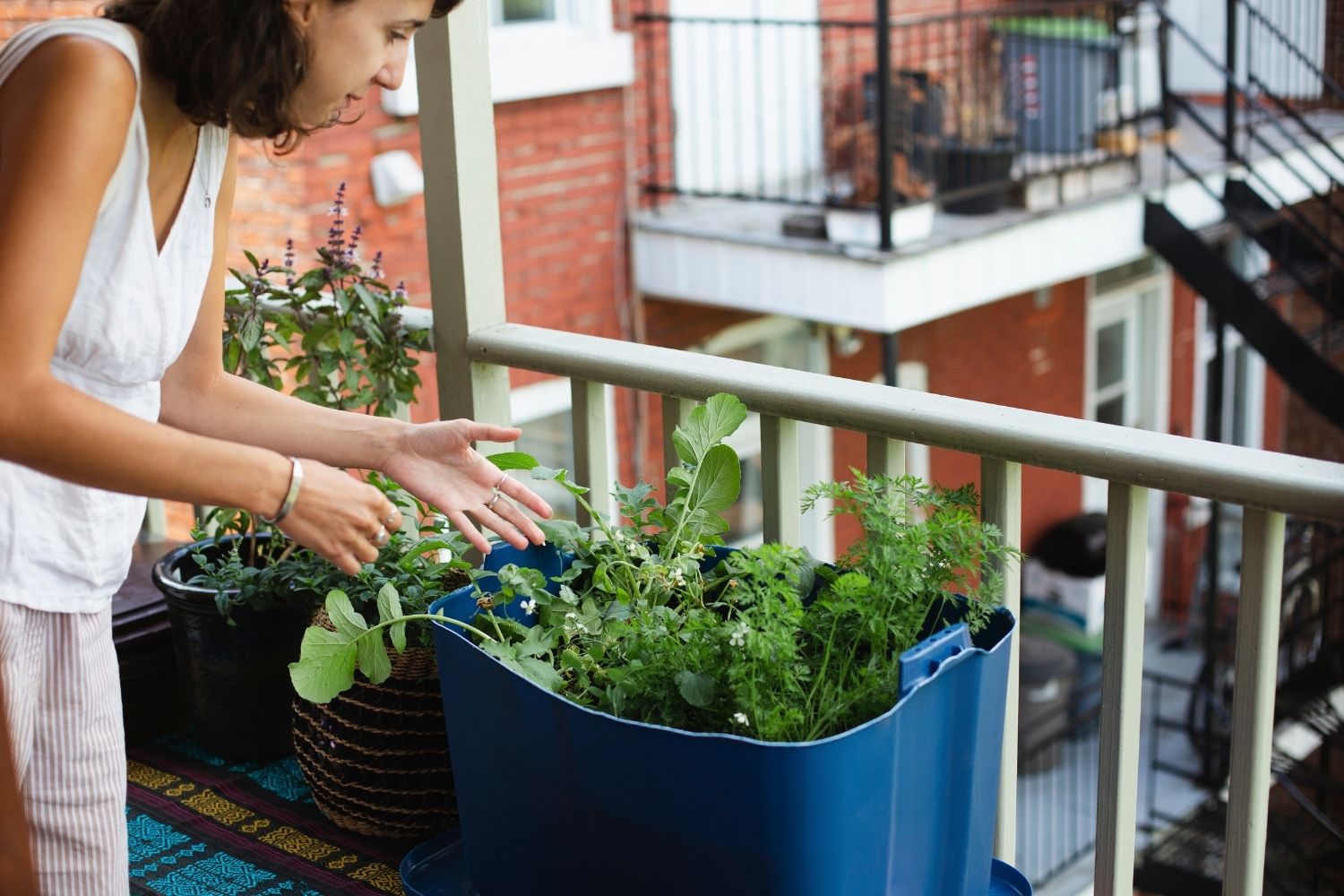 Urban Gardening