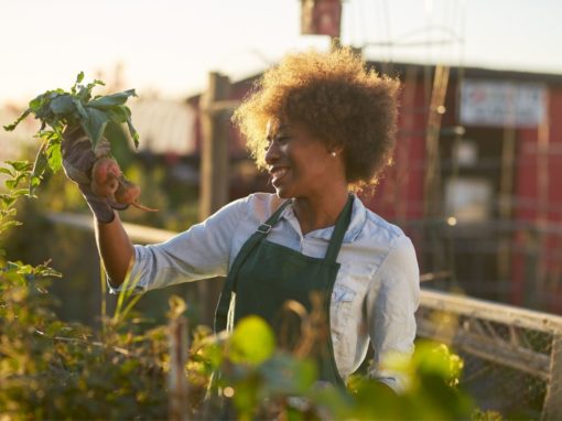 Was ist Urban Gardening?