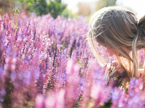 Wirkung von Düften: Wie Aromen unser Leben beeinflussen