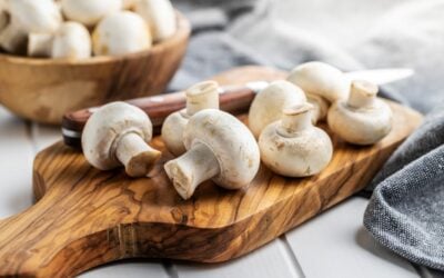 Champignons und ihre Vielfalt