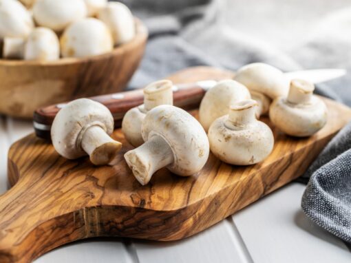 Champignons und ihre Vielfalt