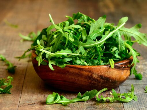 Saison von Rucola: Frische und Genuss im richtigen Moment