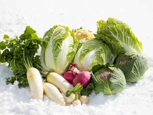 Saisonale Wintergemüse und -salate: Nachhaltig durch den Winter