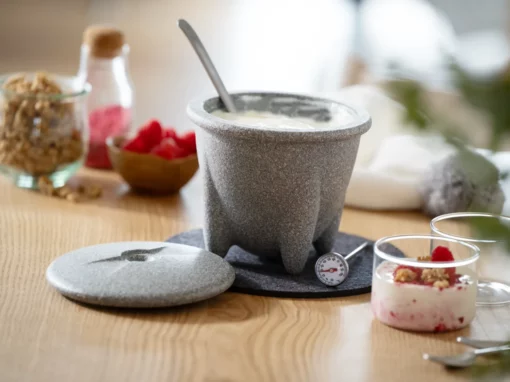 Selbstgemachtes Joghurt – natürlich, cremig & einfach